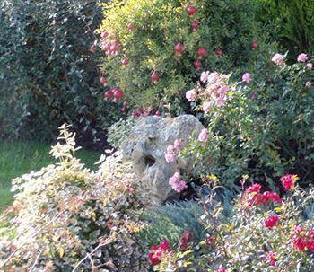 Bed & Breakfast Corte Del Picchio Room&breakfast
